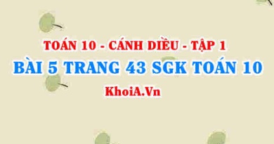 Bài 5 trang 43 SGK Toán 10 tập 1 Cánh Diều